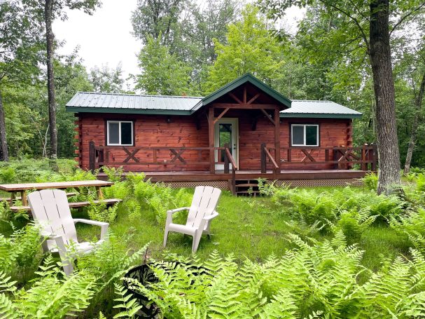 Amish Crafted Log Cabin in the woods with ferns and a campfire spot out front.