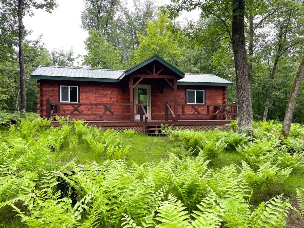 Custom built log cabin in the woods with ferns.